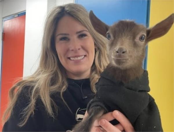 canadians are increasingly drawn to animals