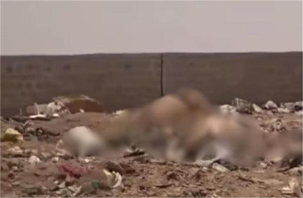 major negligence in jaisalmer