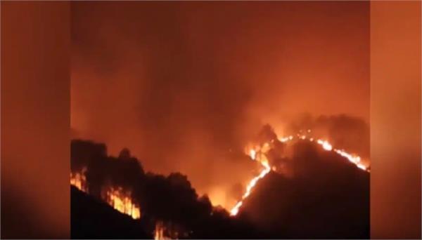 forests burning in in jammu and kashmir