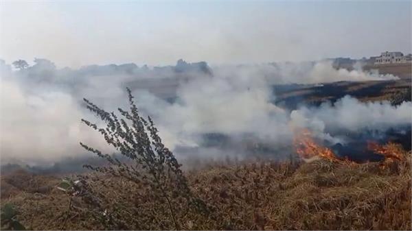 major action against   stubble burning   in dinanagar and kalanaur