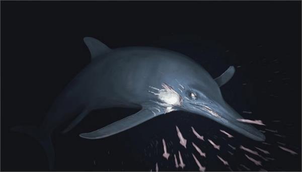 180 million year old sea creature found