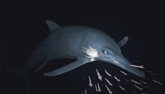 ਵਿਗਿਆਨੀਆਂ ਦੇ ਉੱਡੇ ਹੋਸ਼, ਮਿਲਿਆ 18 ਕਰੋੜ ਸਾਲ ਪੁਰਾਣਾ ''ਸਮੁੰਦਰੀ ਜੀਵ''