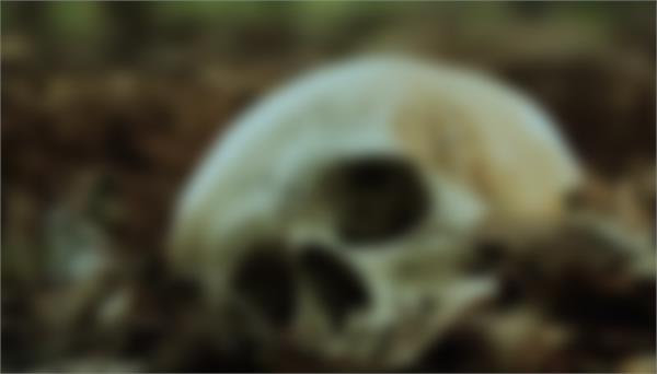 youth removes skull fragment from pyre