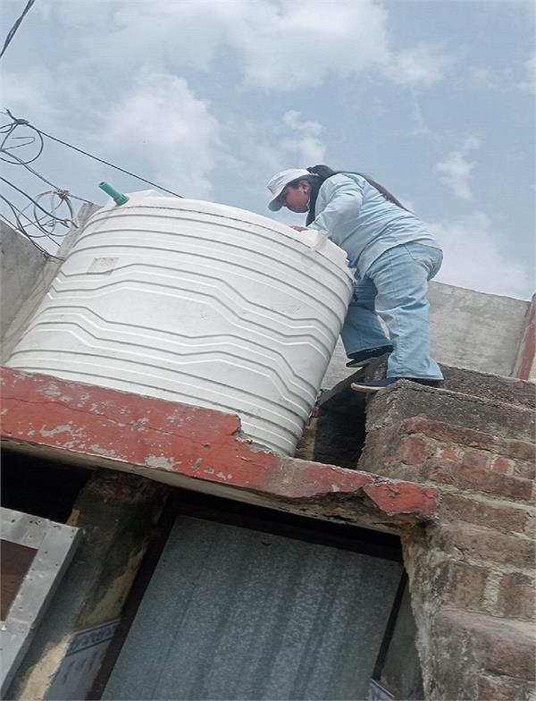 hoshiarpur administration preparations to defeat dengue chikungunya
