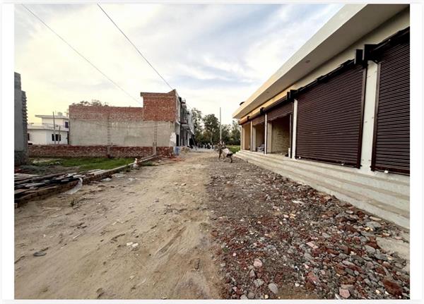 chief vigilance officer seeks record of several illegal buildings