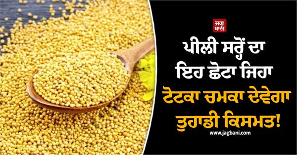 this little tip of yellow mustard will brighten your luck 