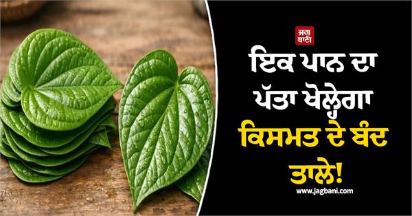 the betel leaf will open the locked locks of destiny 