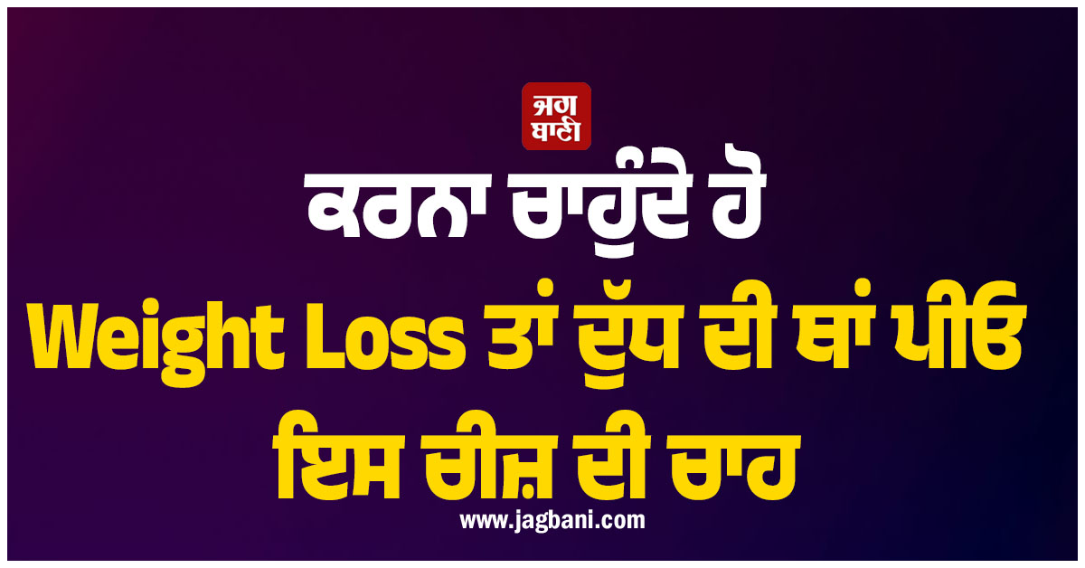 ਕਰਨਾ ਚਾਹੁੰਦੇ ਹੋ Weight Loss ਤਾਂ ਦੁੱਧ ਦੀ ਥਾਂ ਪੀਓ ਇਸ ਚੀਜ਼ ਦੀ ਚਾਹ