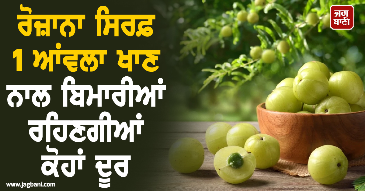 ਬਿਮਾਰੀਆਂ ਰਹਿਣਗੀਆਂ ਕੋਹਾਂ ਦੂਰ ! ਰੋਜ਼ਾਨਾ ਸਿਰਫ਼ 1 ਆਂਵਲਾ ਖਾਣ ਨਾਲ ਸਰੀਰ ਮਿਲਣਗੇ ਇਹ ਹੈਰਾਨੀਜਨਕ ਫਾਇਦੇ