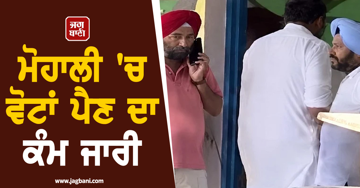 ਮੋਹਾਲੀ 'ਚ ਵੋਟਾਂ ਪੈਣ ਦਾ ਕੰਮ ਜਾਰੀ, CCTV ਕੈਮਰਿਆਂ ਰਾਹੀਂ ਚੋਣ ਪ੍ਰਕਿਰਿਆ 'ਤੇ ਰੱਖੀ ਜਾ ਰਹੀ ਨਜ਼ਰ