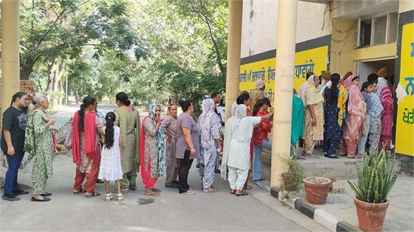 voting continues in dasuya and mukerian