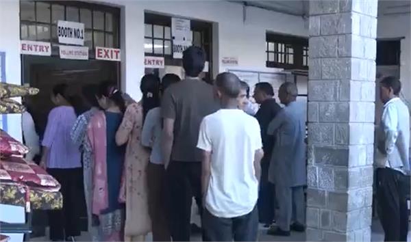 himachal pradesh  municipal corporation elections  voting