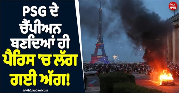 psg fans