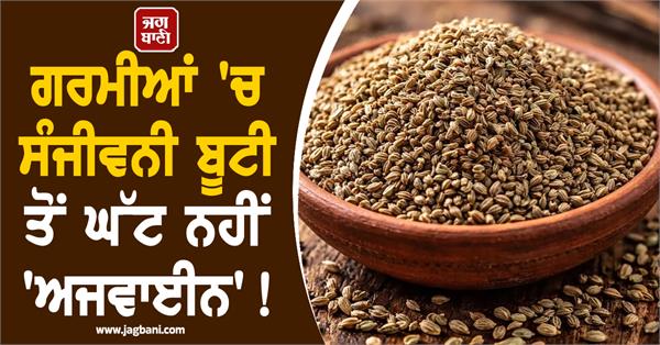 ajwain is no less than sanjeevani herb in summer 