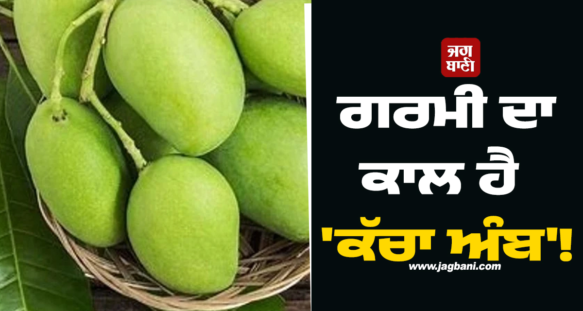 ਗਰਮੀ ਦਾ ਕਾਲ ਹੈ 'ਕੱਚਾ ਅੰਬ'! ਸਿਰਫ਼ ਸਵਾਦ ਨਹੀਂ, ਸਰੀਰ ਲਈ ਹੈ ਕੁਦਰਤੀ ਦਵਾਈ, ਜਾਣੋ ਇਸ ਦੇ ਫਾਇਦੇ
