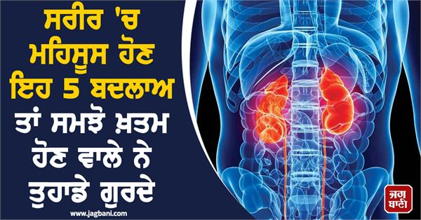 these 5 changes taking place in the body will lead to kidney failure 