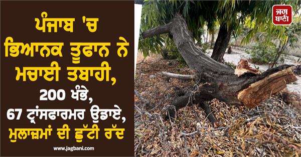 storm in punjab electricity department
