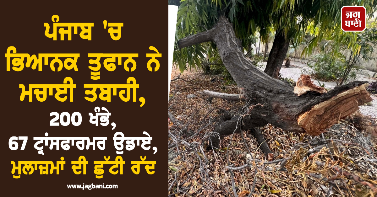 ਪੰਜਾਬ 'ਚ ਭਿਆਨਕ ਤੂਫਾਨ ਨੇ ਮਚਾਈ ਤਬਾਹੀ, 200 ਖੰਭੇ, 67 ਟ੍ਰਾਂਸਫਾਰਮਰ ਉਡਾਏ, ਮੁਲਾਜ਼ਮਾਂ ਦੀ ਛੁੱਟੀ ਰੱਦ