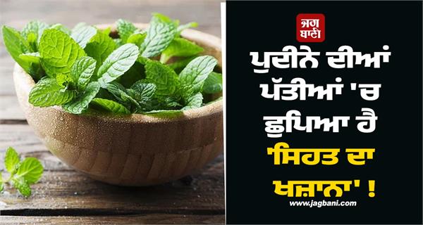 a treasure of health is hidden in mint leaves 