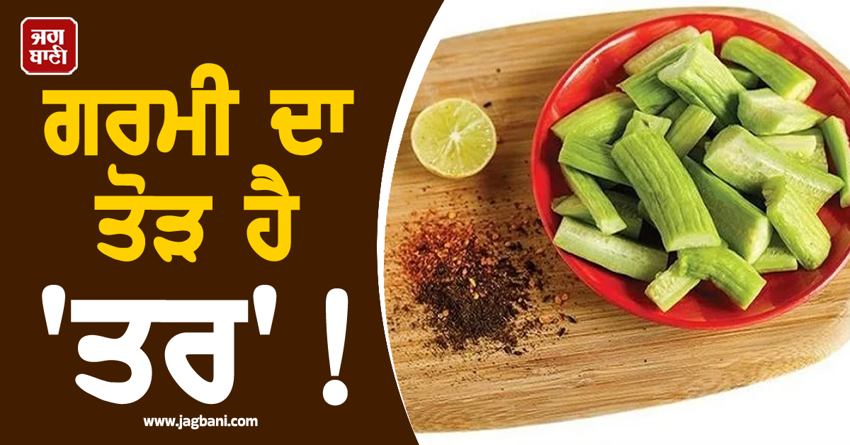 ਗਰਮੀ ਦਾ ਤੋੜ ਹੈ 'ਤਰ'! ਰੋਜ਼ਾਨਾ ਖਾਣ ਨਾਲ ਸਰੀਰ 'ਚ ਨਹੀਂ ਹੋਵੇਗੀ ਪਾਣੀ ਦੀ ਕਮੀ ; ਜਾਣੋ ਫਾਇਦੇ