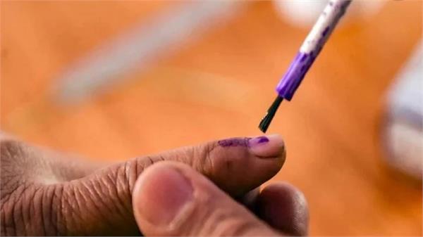 haryana  municipal corporation elections  voting