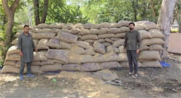 75 bags of wheat stolen from kalanaur grain market