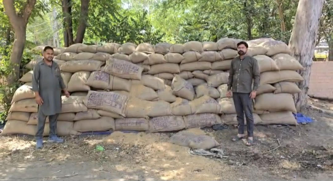 ਕਲਾਨੌਰ ਦਾਣਾ ਮੰਡੀ ''ਚੋਂ 75 ਬੋਰੀਆਂ ਕਣਕ ਚੋਰੀ, ਲੱਖਾਂ ਦਾ ਨੁਕਸਾਨ