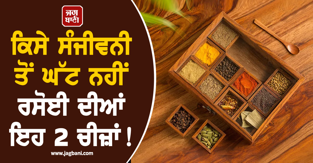 ਕਿਸੇ ਸੰਜੀਵਨੀ ਤੋਂ ਘੱਟ ਨਹੀਂ ਰਸੋਈ ਦੀਆਂ ਇਹ 2 ਚੀਜ਼ਾਂ ! ਕੋਈ ਵੀ ਬਿਮਾਰੀ ਨਹੀਂ ਆਵੇਗੀ ਨੇੜੇ