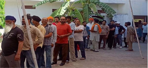 municipal councils elections of jalandhar completed peacefully