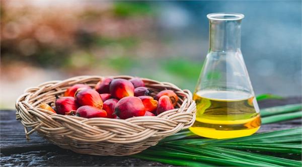 edible oil prices fluctuate  prices at best levels in 2 weeks