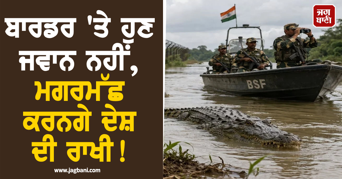 ਬਾਰਡਰ 'ਤੇ ਹੁਣ ਜਵਾਨ ਨਹੀਂ, ਮਗਰਮੱਛ ਕਰਨਗੇ ਦੇਸ਼ ਦੀ ਰਾਖੀ ! BSF ਨੇ ਖਿੱਚੀ ਤਿਆਰੀ