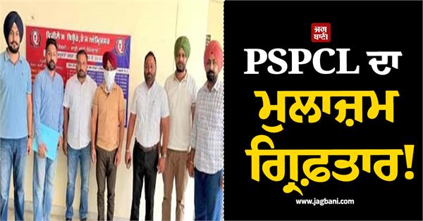 pspcl accountant caught red handed taking bribe of rs 15 000
