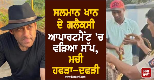 snake enters salman khan  s galaxy apartment  creating chaos
