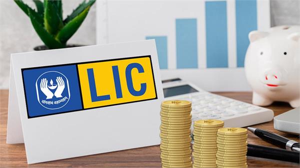 lic shares fell by 50   know the whole truth