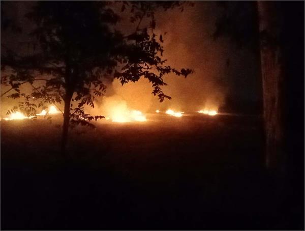 fire breaks out in a tree on kishangarh ballan road