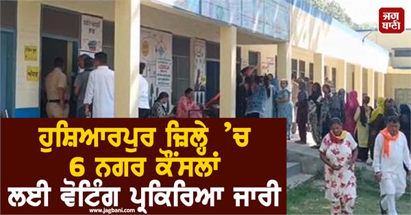 voting for 6 municipal councils in hoshiarpur district