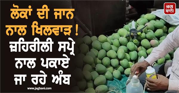 market mango poisonous spray health chemicals