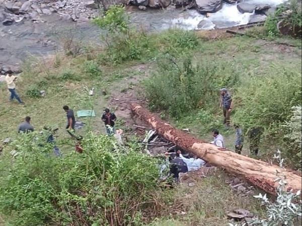 vehicle  tree  teacher  death  himachal pradesh