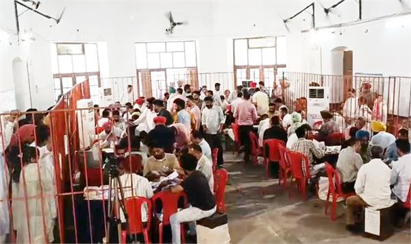 municipal council elections  election results