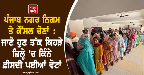 punjab know what percentage of votes have been cast in which district so far