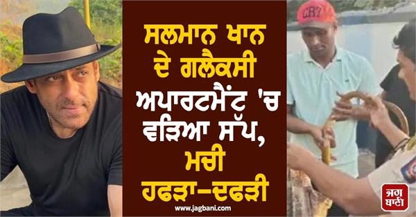 snake enters salman khan s galaxy apartment creating chaos