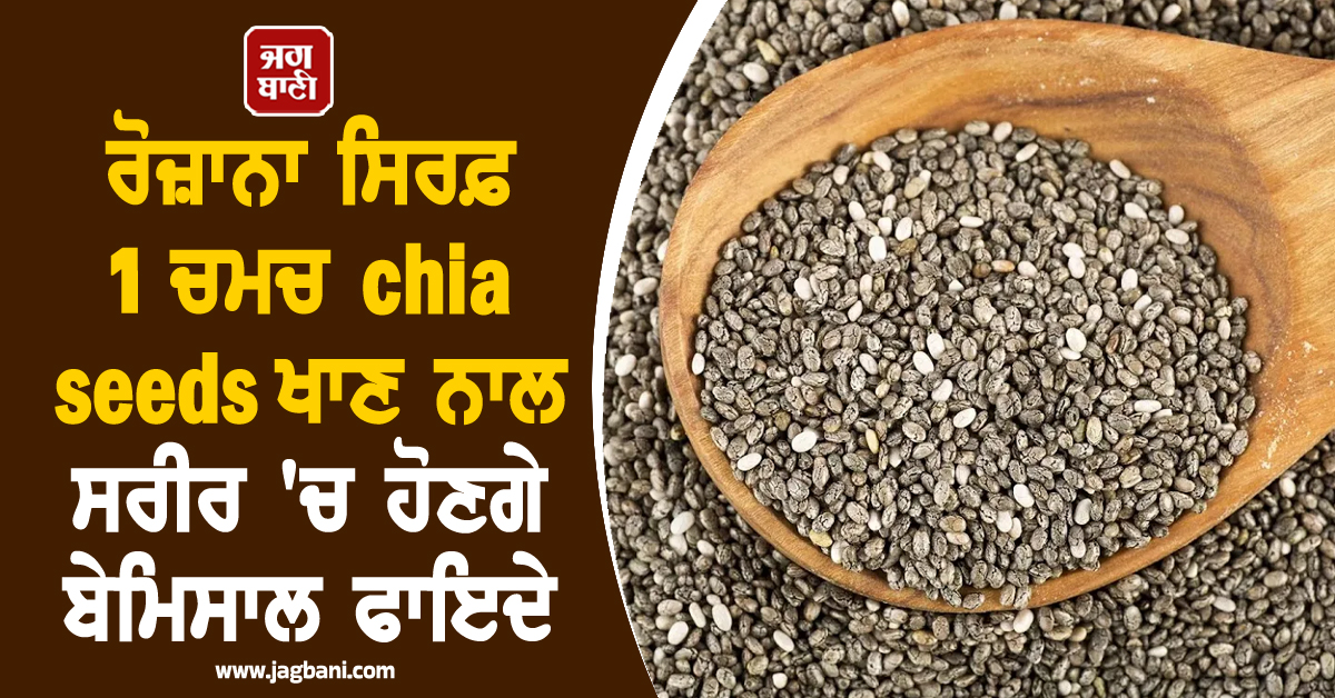 ਰੋਜ਼ਾਨਾ ਸਿਰਫ਼ 1 ਚਮਚ chia seeds ਖਾਣ ਨਾਲ ਸਰੀਰ 'ਚ ਹੋਣਗੇ ਬੇਮਿਸਾਲ ਫਾਇਦੇ, ਜਾਣੋ ਖਾਣ ਦਾ ਸਹੀ ਤਰੀਕਾ