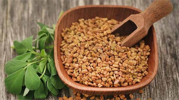 fenugreek seeds are the cure for every hair problem 