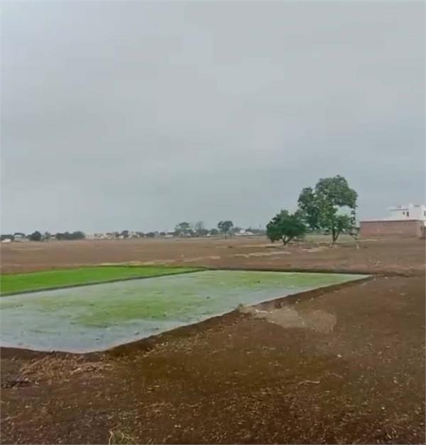 punjab weather raining