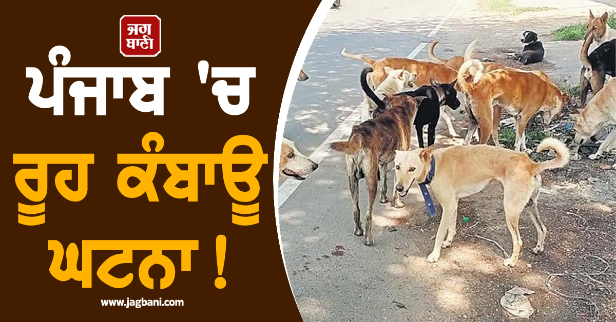 ਪੰਜਾਬ 'ਚ ਰੂਹ ਕੰਬਾਊ ਘਟਨਾ! ਜਵਾਕੜੀ ਨੂੰ ਕੁੱਤਿਆਂ ਨੇ ਨੋਚਿਆ, ਤੜਫ਼-ਤੜਫ਼ ਕੇ ਨਿਕਲੀ ਜਾਨ