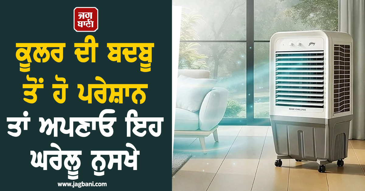ਕੂਲਰ ਦੀ ਬਦਬੂ ਤੋਂ ਹੋ ਪਰੇਸ਼ਾਨ? ਇਨ੍ਹਾਂ ਆਸਾਨ ਘਰੇਲੂ ਨੁਸਖਿਆਂ ਨਾਲ ਮਿੰਟਾਂ 'ਚ ਪਾਓ ਛੁਟਕਾਰਾ