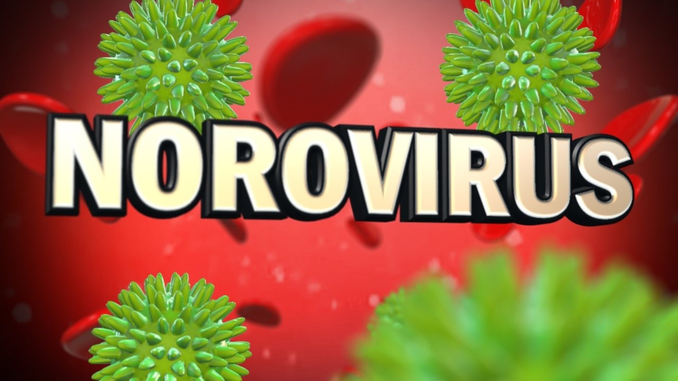 Hantavirus ਤੋਂ ਬਾਅਦ ਹੁਣ Norovirus ਦਾ ਕਹਿਰ:, 80 ਲੋਕ ਹੋਏ ਬੀਮਾਰ