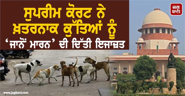 supreme court  dangerous dogs  euthanasia  country  stray dogs