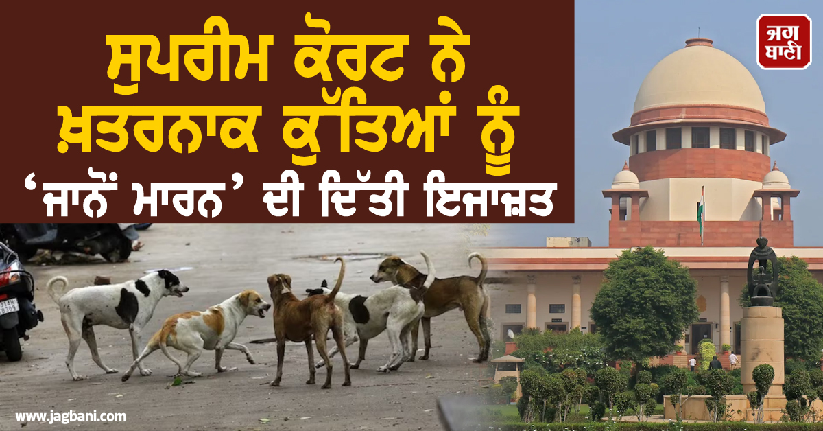 ਸੁਪਰੀਮ ਕੋਰਟ ਅਹਿਮ ਫੈਸਲਾ, ਖ਼ਤਰਨਾਕ ਕੁੱਤਿਆਂ ਨੂੰ ‘ਜਾਨੋਂ ਮਾਰਨ’ ਦੀ ਇਜਾਜ਼ਤ