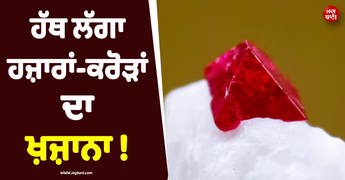 ਹੱਥ ਲੱਗਾ ਹਜ਼ਾਰਾਂ-ਕਰੋੜਾਂ ਦਾ ਖ਼ਜ਼ਾਨਾ ! ਮੋਗੋਕ ''ਚ ਮਿਲਿਆ ਦੂਜਾ ਸਭ ਤੋਂ ਵੱਡਾ ''Ruby''
